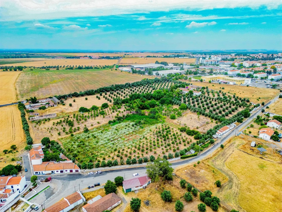 Terreno para Venda em Beja (Santiago Maior e São João Baptista) Foto 6