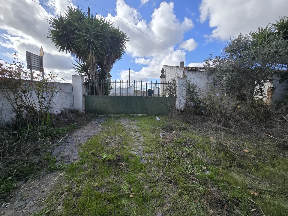 Terreno para Venda em Beja (Santiago Maior e São João Baptista) Foto 42