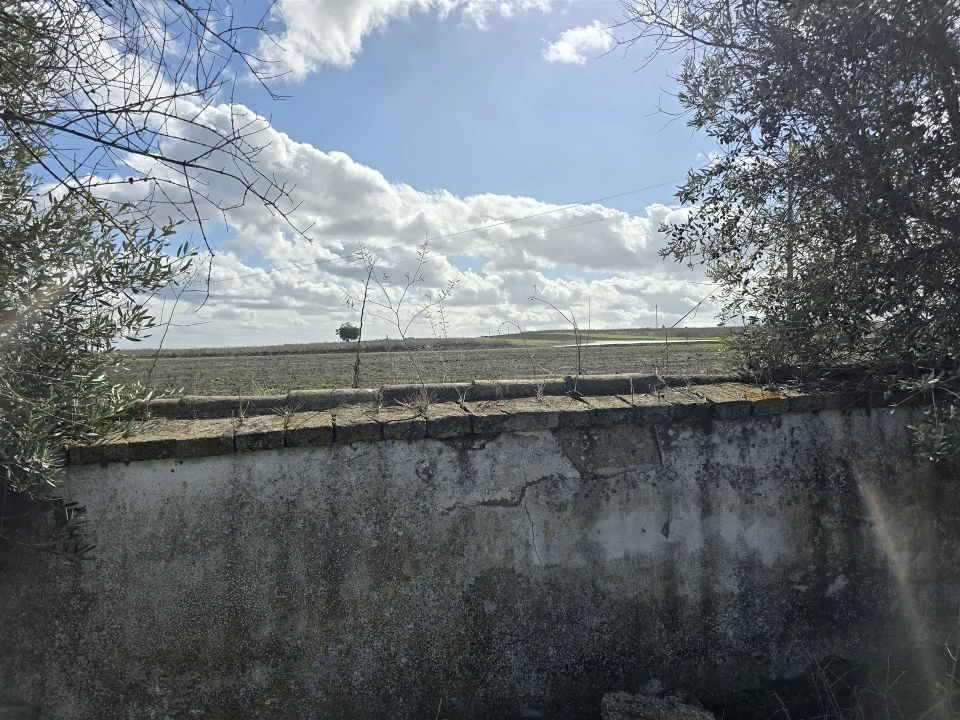 Terreno para Venda em Beja (Santiago Maior e São João Baptista) Foto 39
