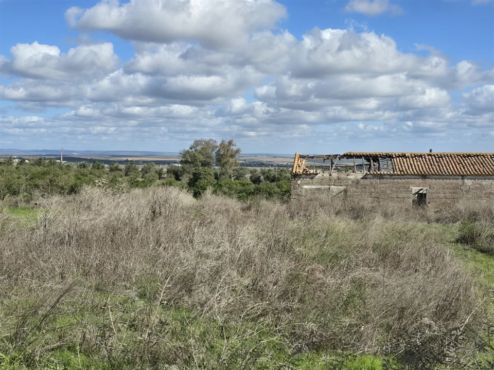 Terreno para Venda em Beja (Santiago Maior e São João Baptista) Foto 34