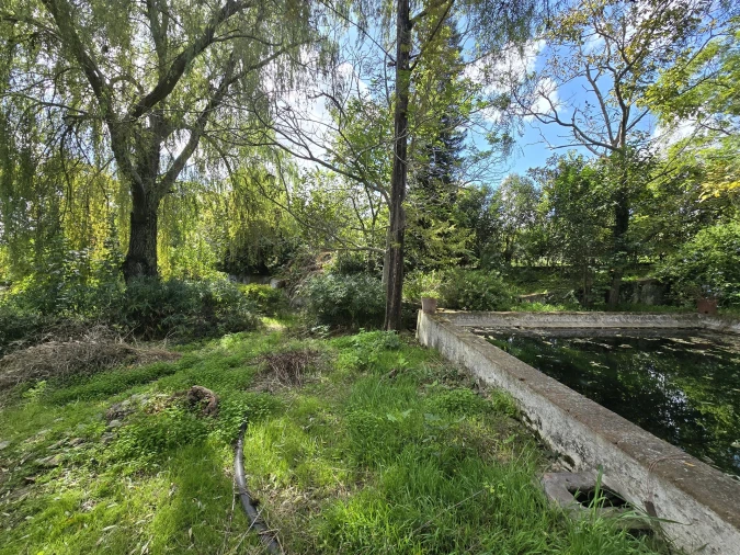 Terreno para Venda em Beja (Santiago Maior e São João Baptista) Foto 49