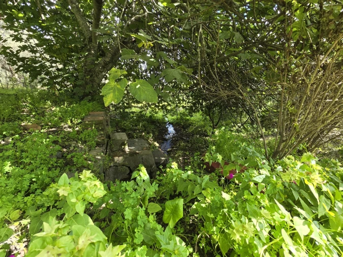 Terreno para Venda em Beja (Santiago Maior e São João Baptista) Foto 53