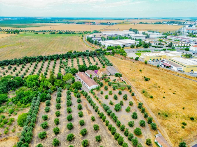 Terreno para Venda em Beja (Santiago Maior e São João Baptista) Foto 1