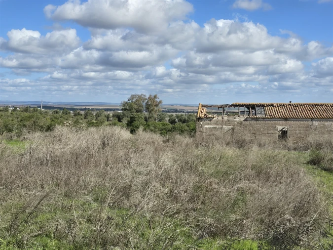 Terreno para Venda em Beja (Santiago Maior e São João Baptista) Foto 34