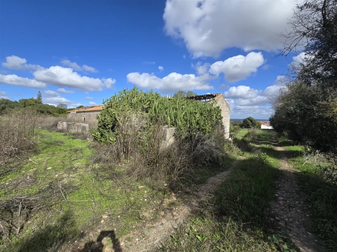 Terreno para Venda em Beja (Santiago Maior e São João Baptista) Foto 41