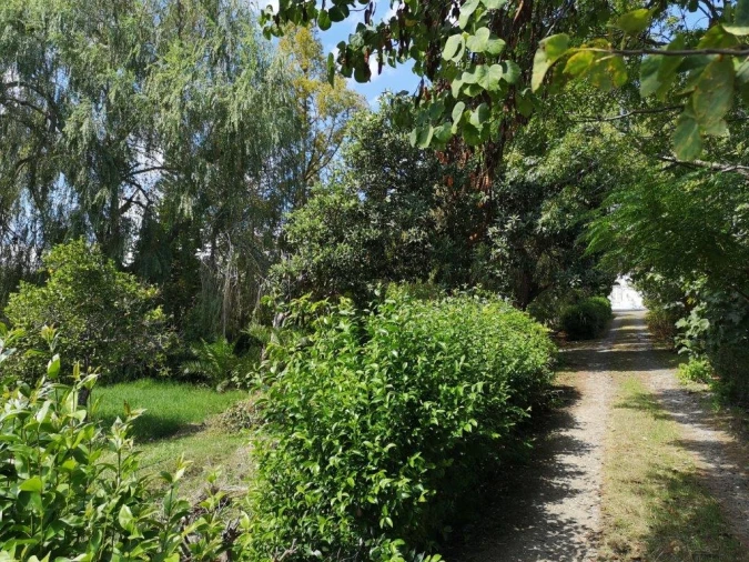 Terreno para Venda em Beja (Santiago Maior e São João Baptista) Foto 104