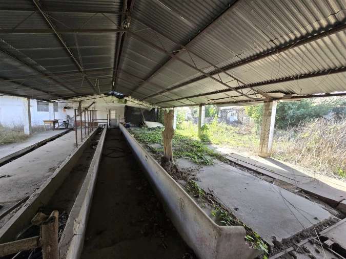 Terreno para Venda em Beja (Santiago Maior e São João Baptista) Foto 31