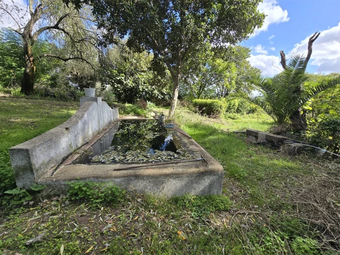 Terreno para Venda em Beja (Santiago Maior e São João Baptista) Foto 23