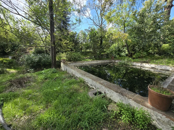 Terreno para Venda em Beja (Santiago Maior e São João Baptista) Foto 19