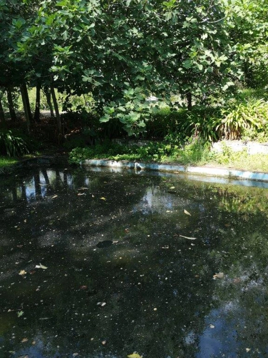 Terreno para Venda em Beja (Santiago Maior e São João Baptista) Foto 101