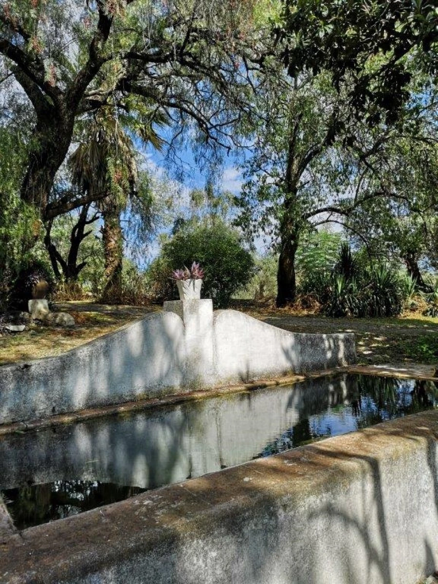 Terreno para Venda em Beja (Santiago Maior e São João Baptista) Foto 97