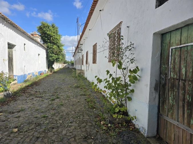 Terreno para Venda em Beja (Santiago Maior e São João Baptista) Foto 54