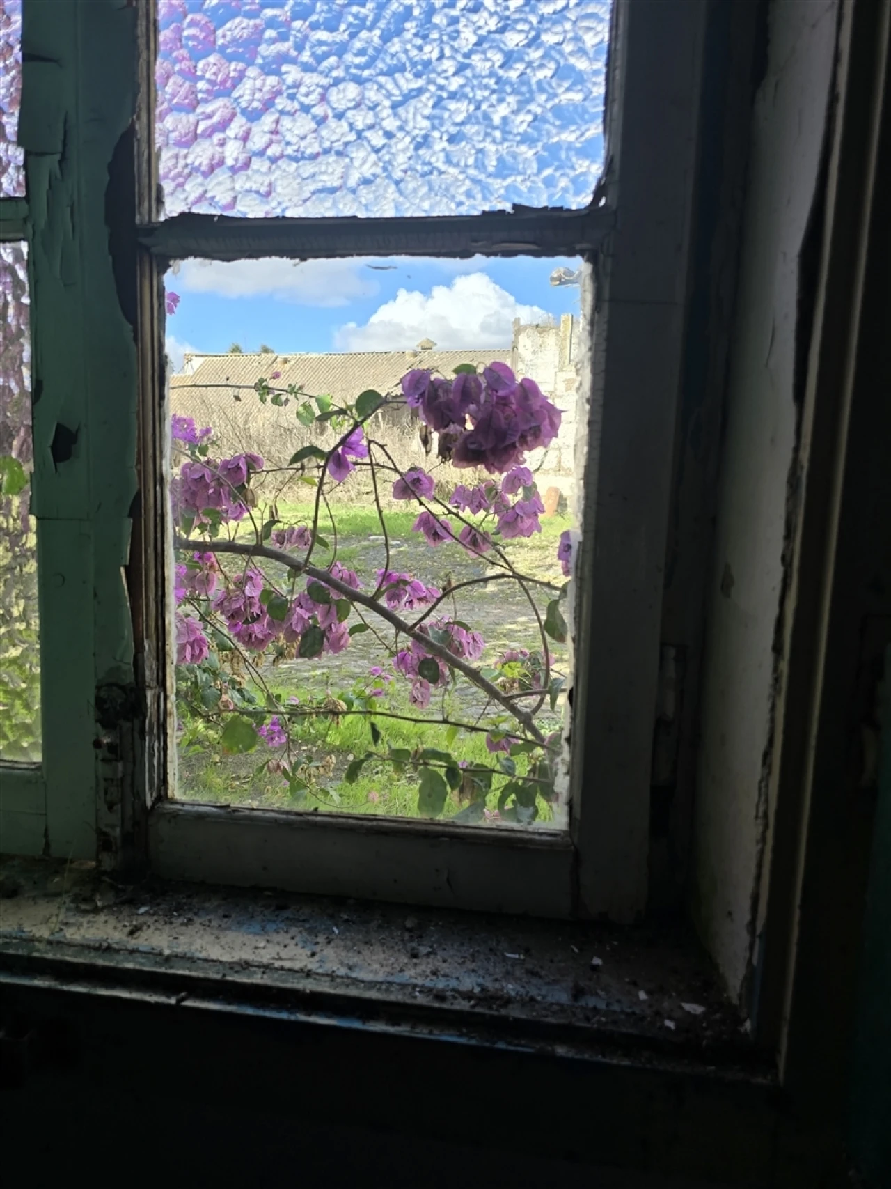 Terreno para Venda em Beja (Santiago Maior e São João Baptista) Foto 58