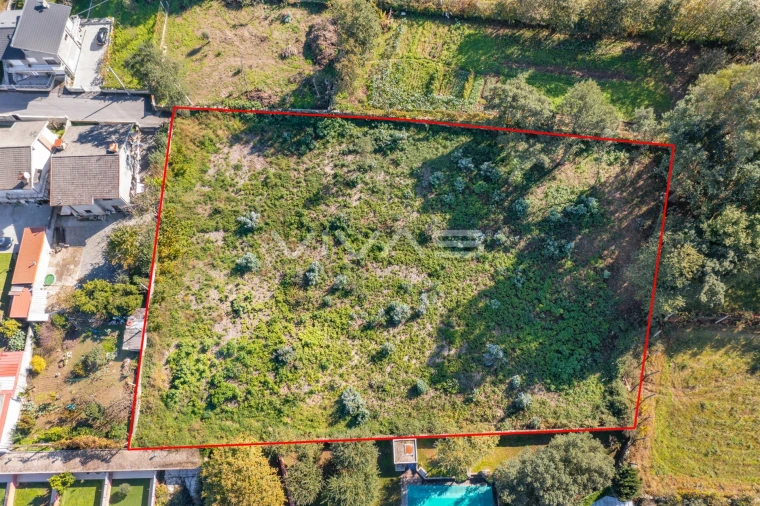 Terreno Comércio / Armazém para Venda em Lago Foto 2