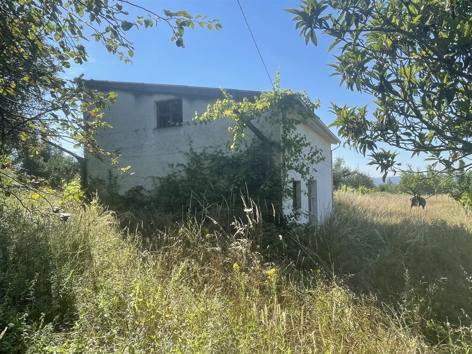Terreno Misto para Venda em Melo e Nabais Foto 1