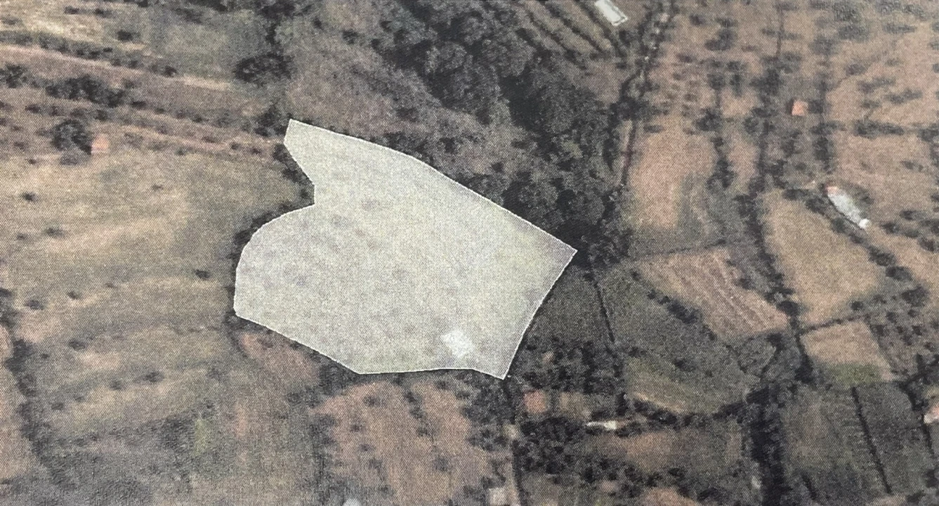 Terreno Misto para Venda em Melo e Nabais Foto 8