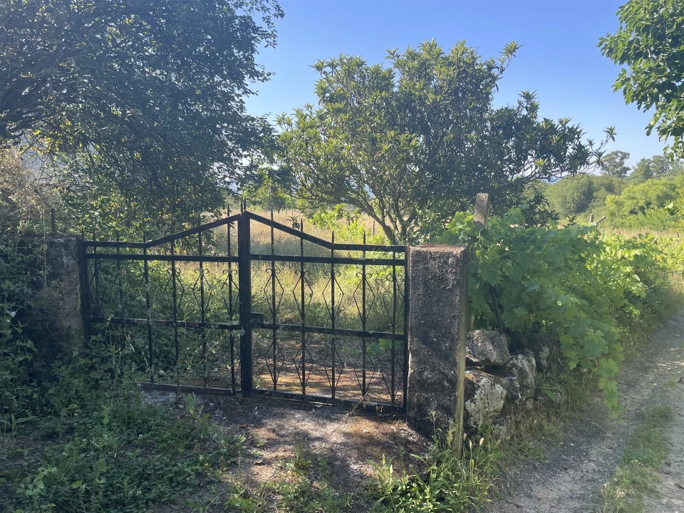 Terreno Misto para Venda em Melo e Nabais Foto 4