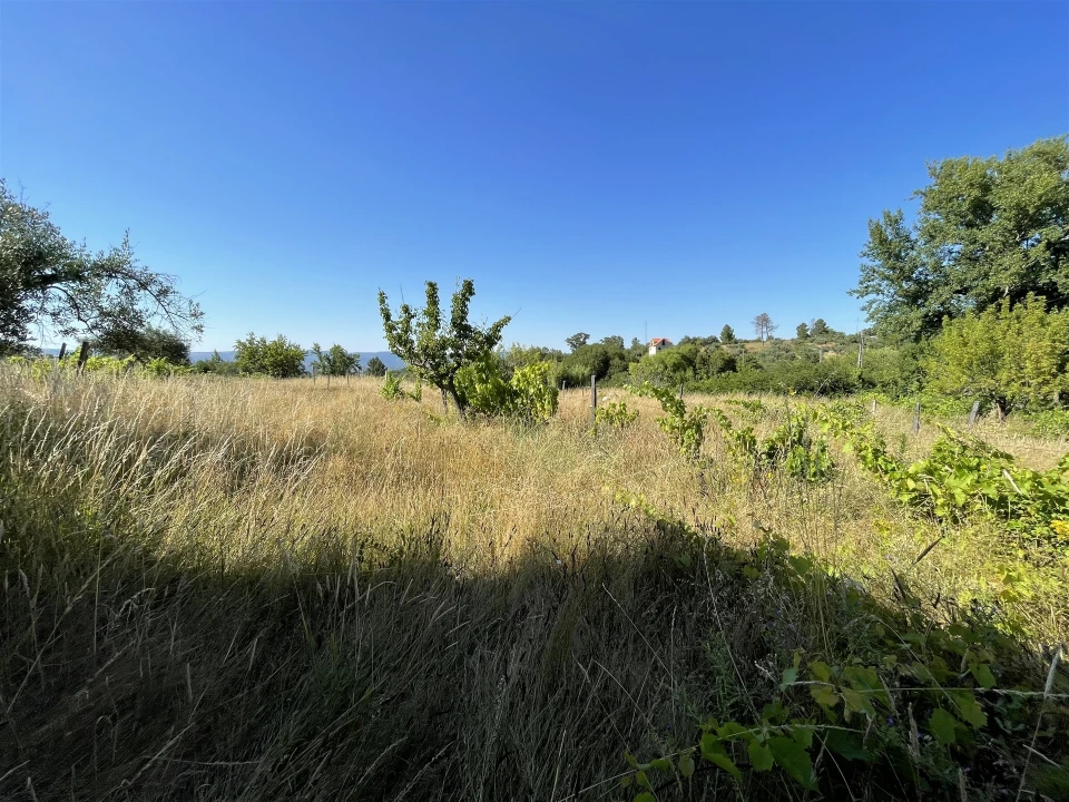 Terreno Misto para Venda em Melo e Nabais Foto 5