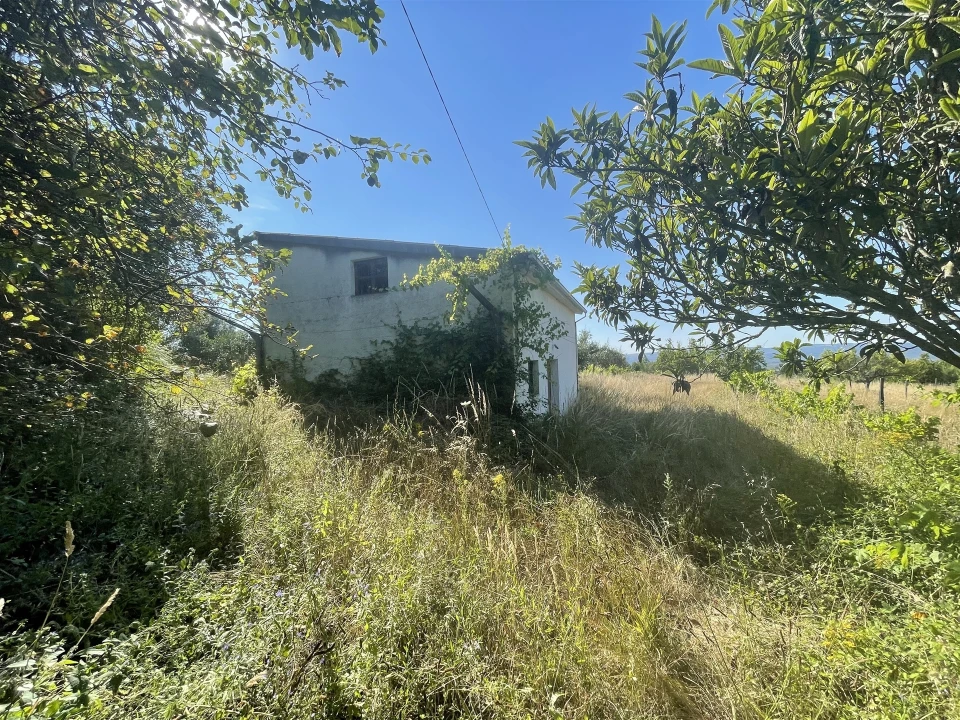 Terreno Misto para Venda em Melo e Nabais Foto 3