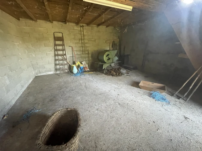 Terreno Misto para Venda em Melo e Nabais Foto 7