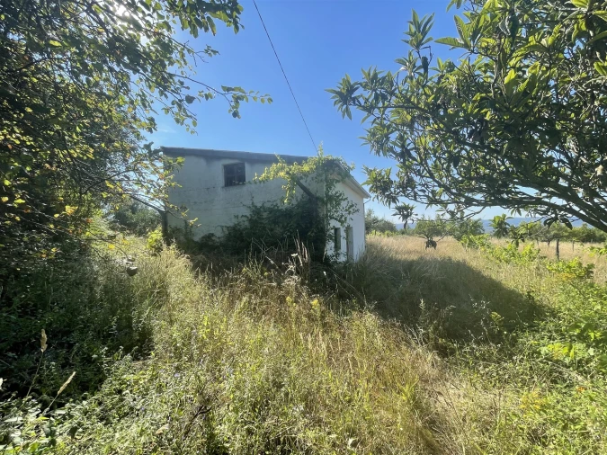 Terreno Misto para Venda em Melo e Nabais Foto 3