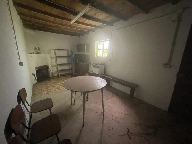 Terreno Misto para Venda em Melo e Nabais Foto 12