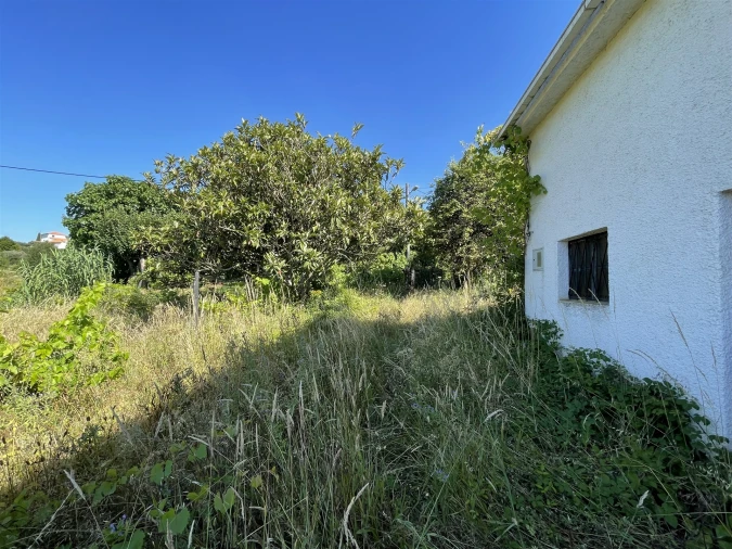 Terreno Misto para Venda em Melo e Nabais Foto 11