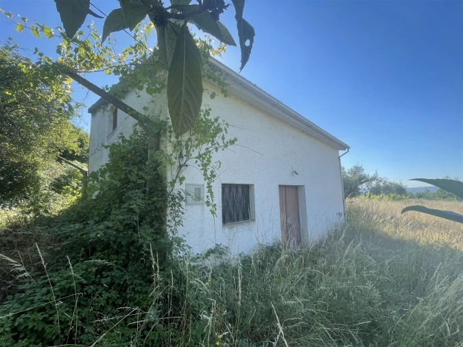 Terreno Misto para Venda em Melo e Nabais Foto 2