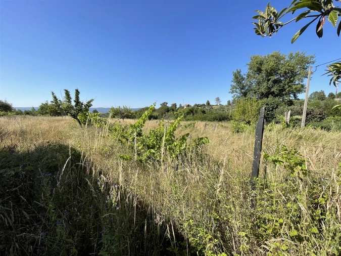 Terreno Misto para Venda em Melo e Nabais Foto 9