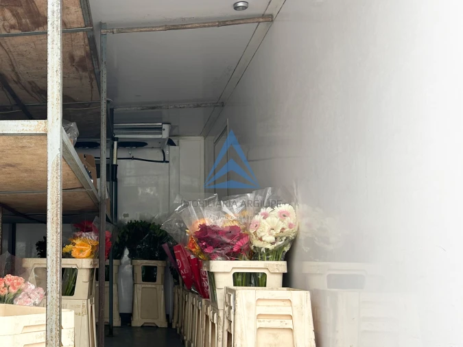 Negócio para Venda em Pombal Foto 12