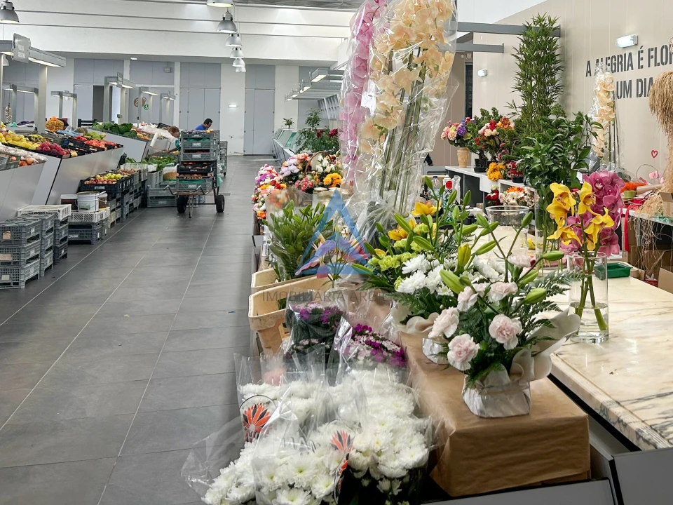 Negócio para Venda em Pombal Foto 13