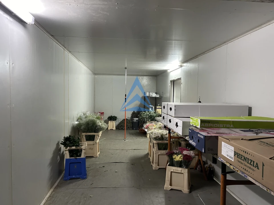 Negócio para Venda em Pombal Foto 6