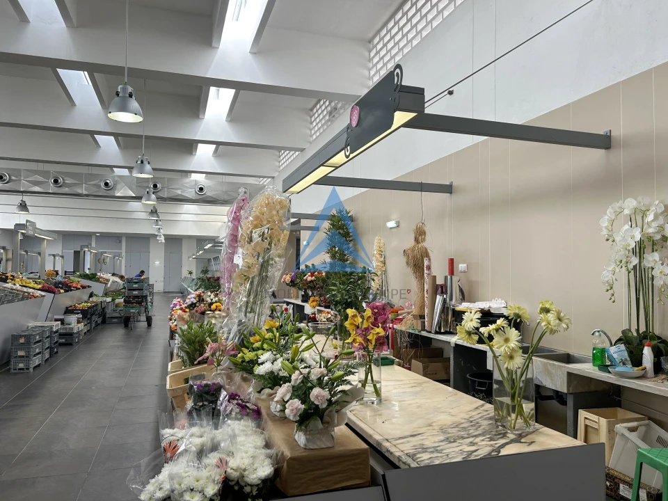 Negócio para Venda em Pombal Foto 15