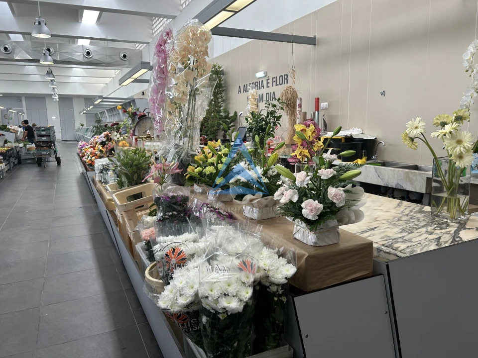 Negócio para Venda em Pombal Foto 14