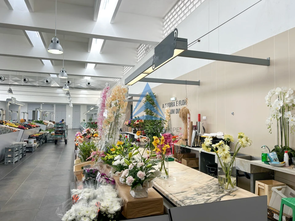 Negócio para Venda em Pombal Foto 1