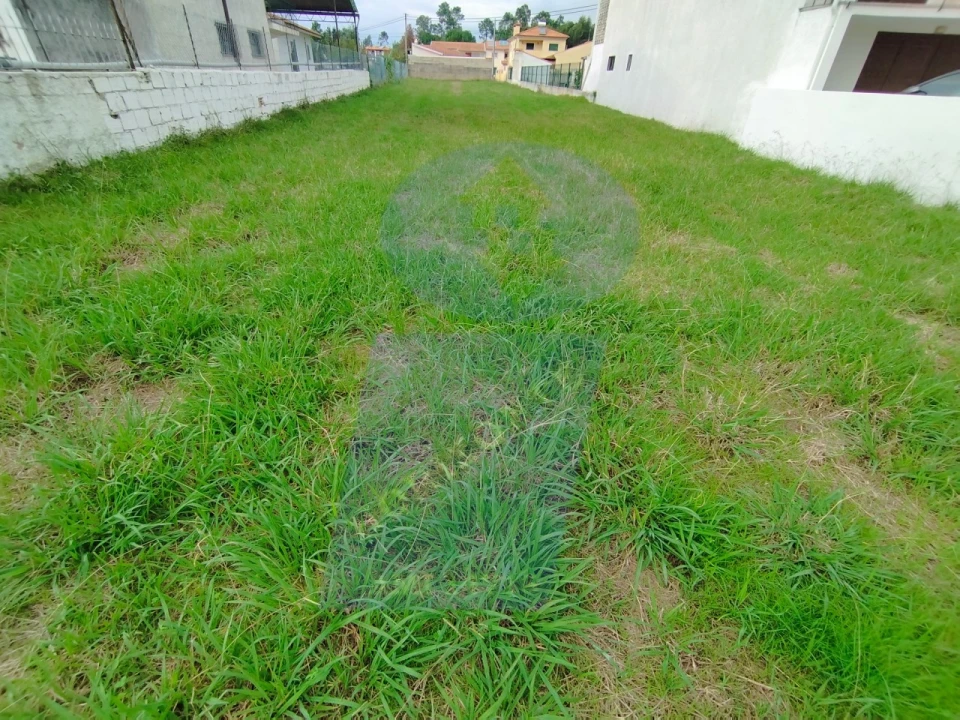 Terreno para Venda em São Lourenço do Bairro Foto 1