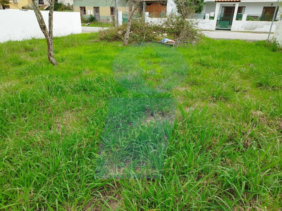 Terreno para Venda em São Lourenço do Bairro Foto 3