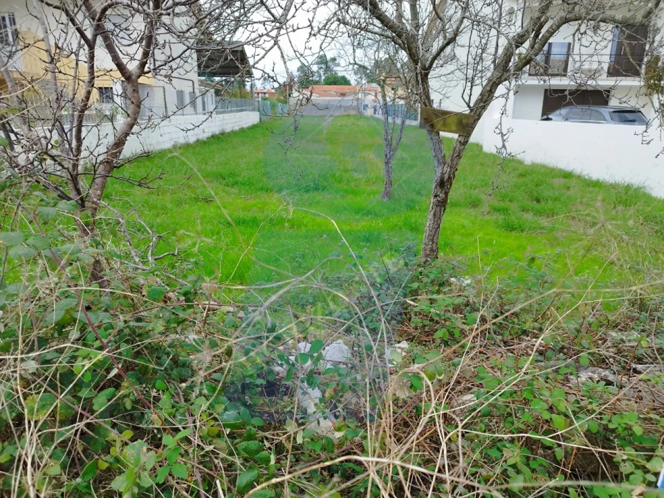 Terreno para Venda em São Lourenço do Bairro Foto 6