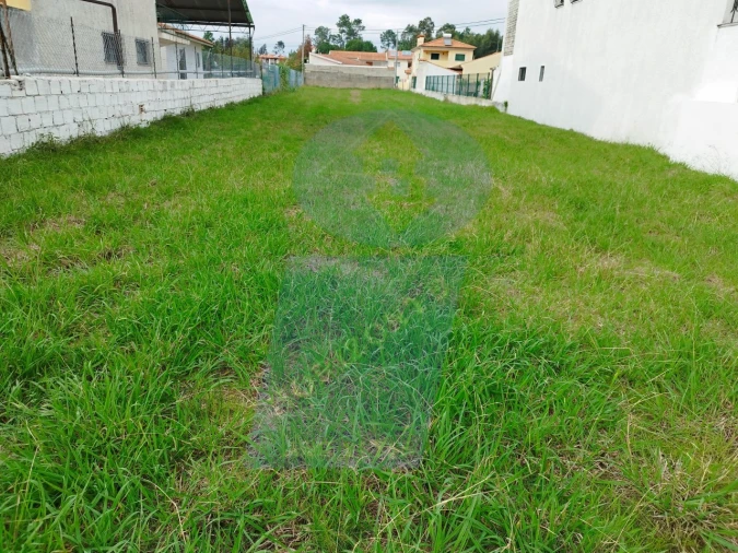 Terreno para Venda em São Lourenço do Bairro Foto 5