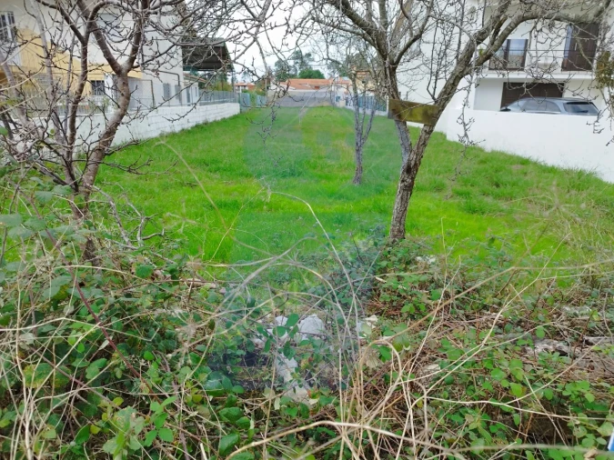 Terreno para Venda em São Lourenço do Bairro Foto 6