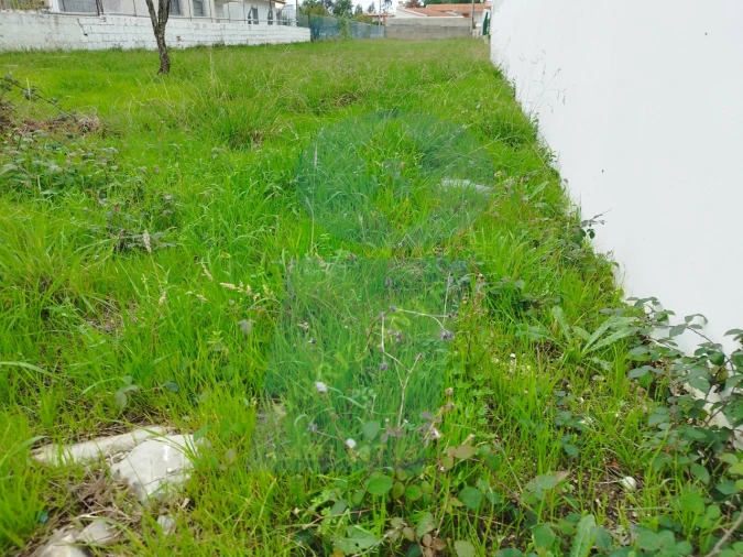 Terreno para Venda em São Lourenço do Bairro Foto 8
