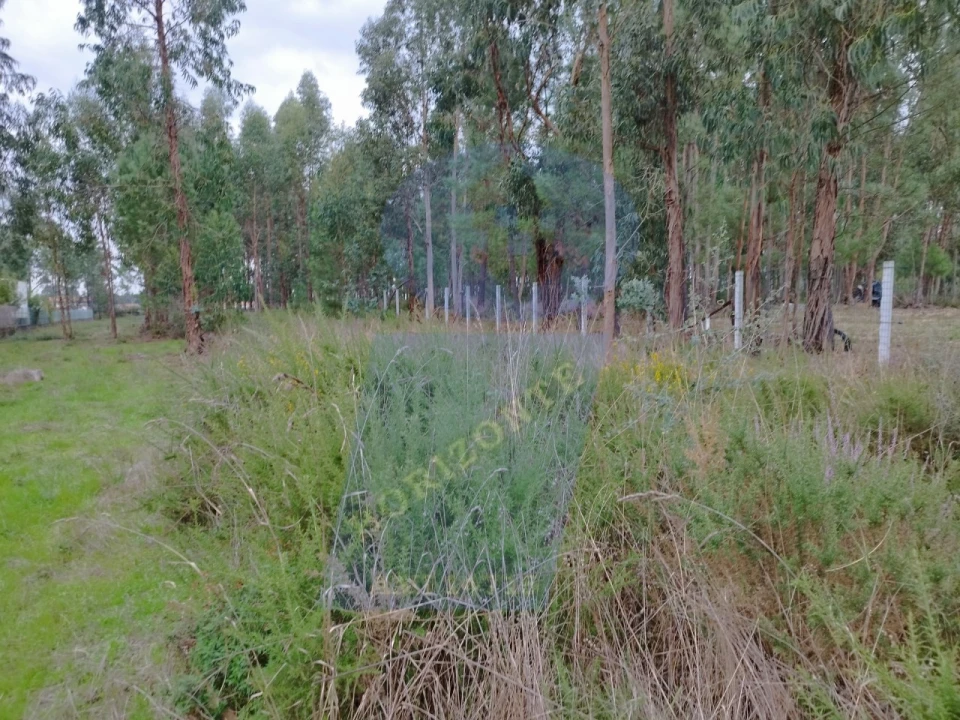Terreno para Venda em São Lourenço do Bairro Foto 1