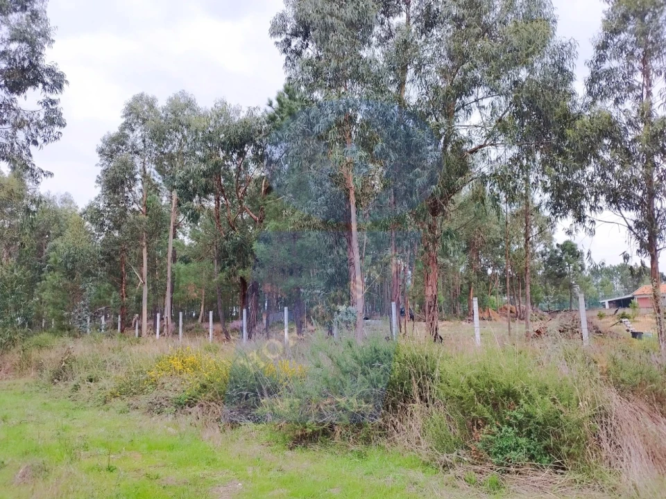 Terreno para Venda em São Lourenço do Bairro Foto 2
