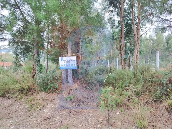 Terreno para Venda em São Lourenço do Bairro Foto 7