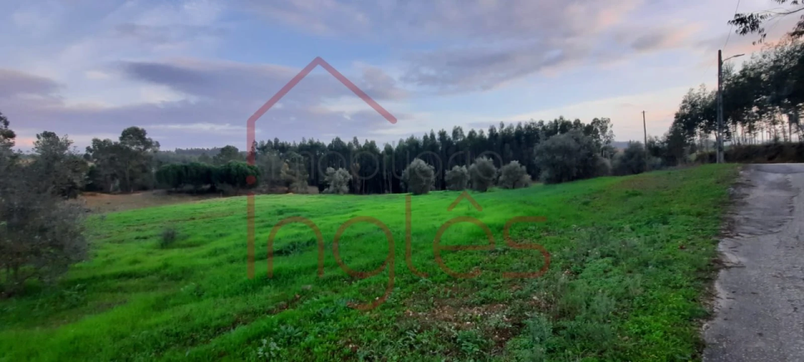 Terreno Agricola ou Rústico para Venda em Outeiro da Cortiçada e Arruda dos Pisões Foto 3