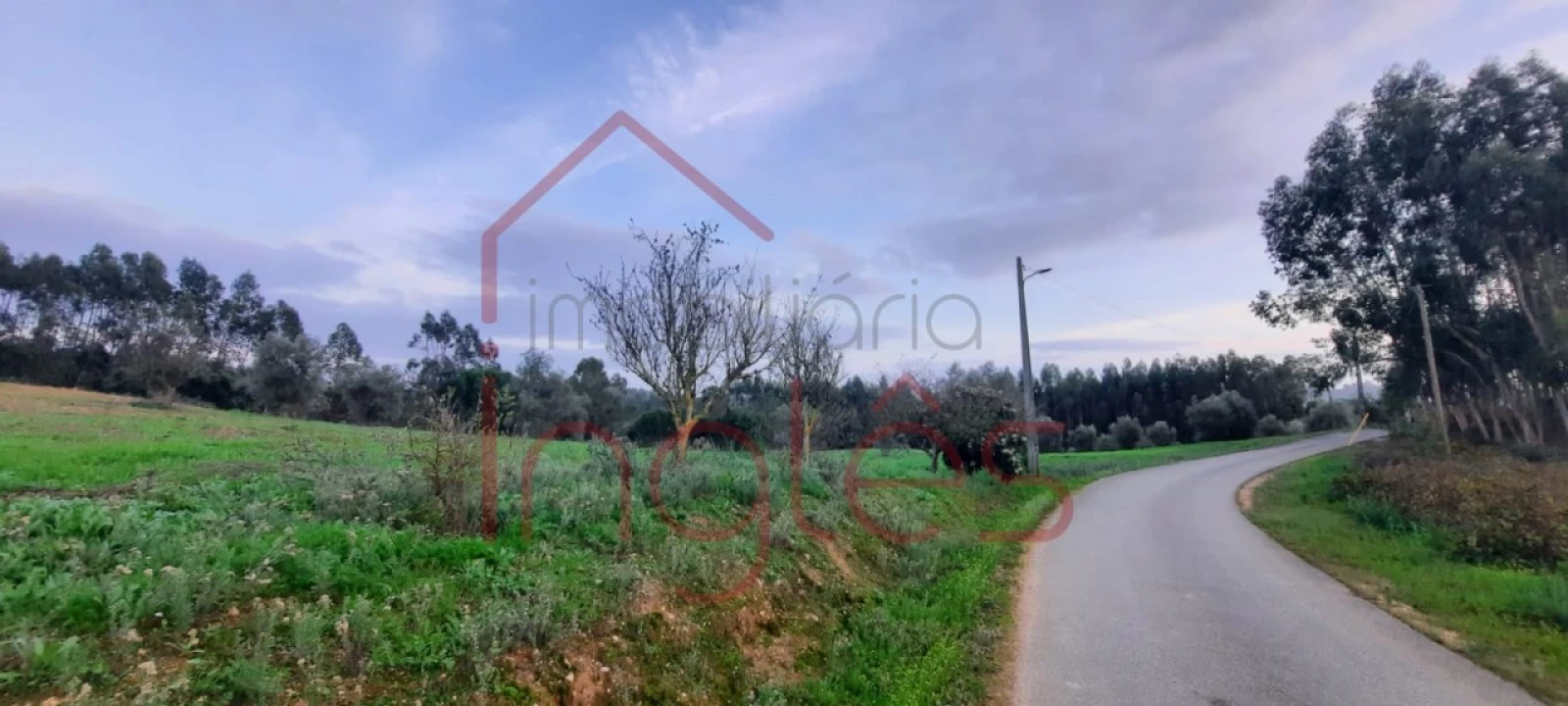 Terreno Agricola ou Rústico para Venda em Outeiro da Cortiçada e Arruda dos Pisões Foto 5