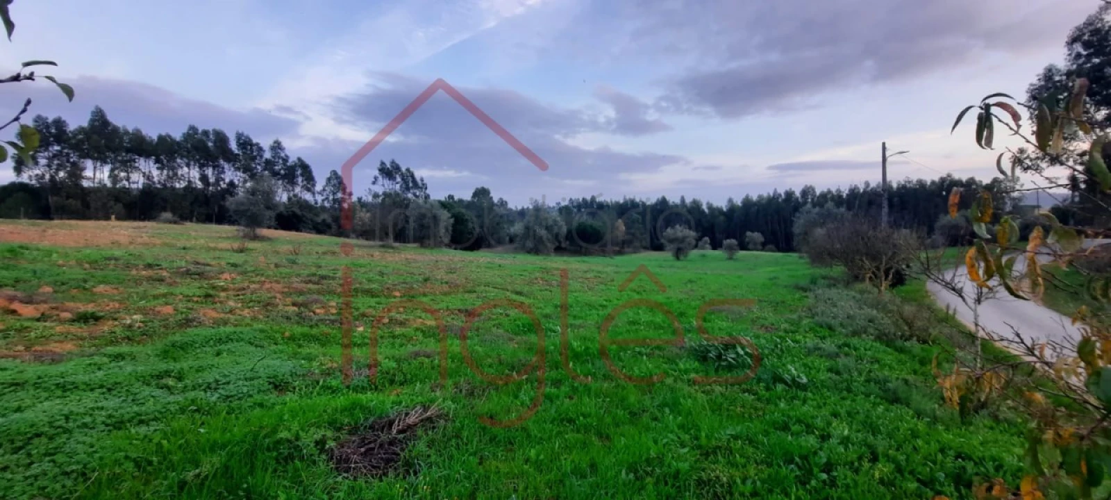 Terreno Agricola ou Rústico para Venda em Outeiro da Cortiçada e Arruda dos Pisões Foto 4