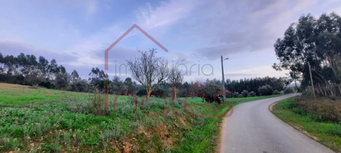 Terreno Agricola ou Rústico para Venda em Outeiro da Cortiçada e Arruda dos Pisões Foto 5