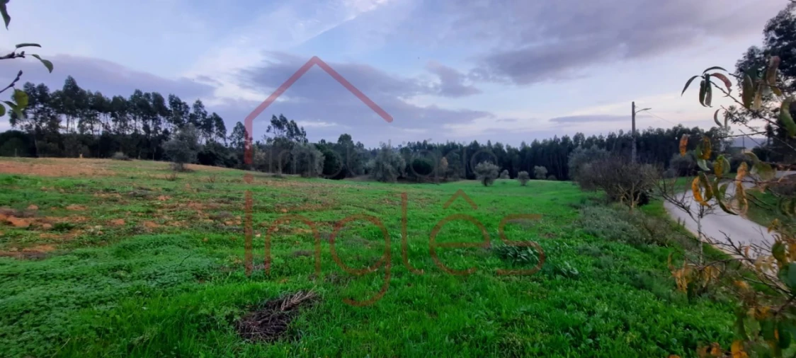 Terreno Agricola ou Rústico para Venda em Outeiro da Cortiçada e Arruda dos Pisões Foto 4