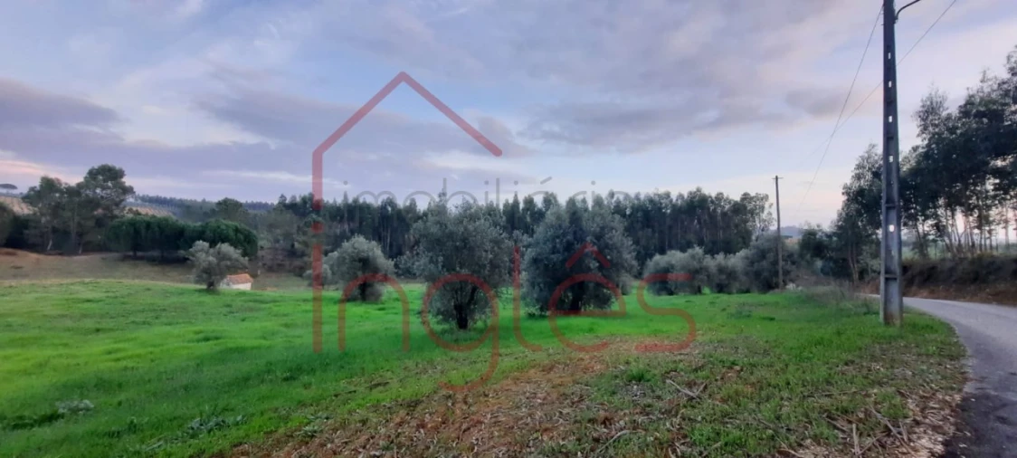 Terreno Agricola ou Rústico para Venda em Outeiro da Cortiçada e Arruda dos Pisões Foto 7